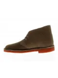 Polacco Clarks DESERT BOOT
